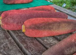 DKPP Nunukan Gelar Gerakan Pangan Murah Lima Ton di Tanah Merah