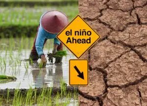 El Nino Ancam Indonesia, Kementan Siapkan Langkah Antisipasi Suhu Panas Ekstrem