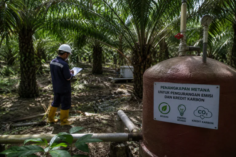Perdagangan Karbon Buka Sumber Pendapatan Baru bagi Industri Sawit