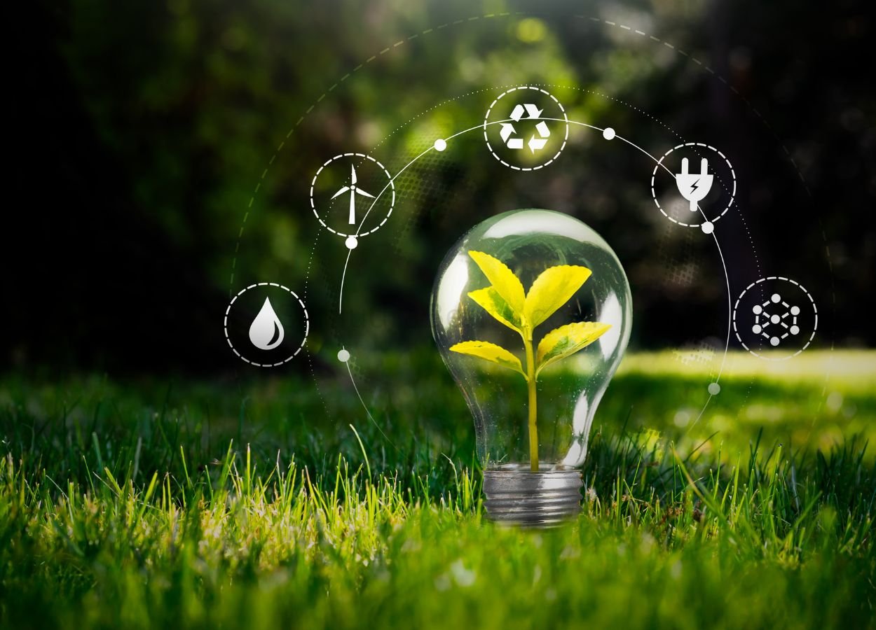 Syngenta Perkenalkan Biostimulan untuk Dukung Pertanian Berkelanjutan - SamudraBerita.com